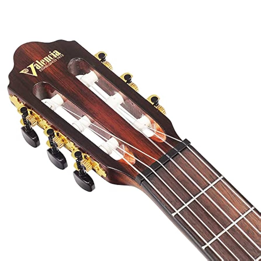 エレガット Valencia エレガットギター VC564CE PR312009